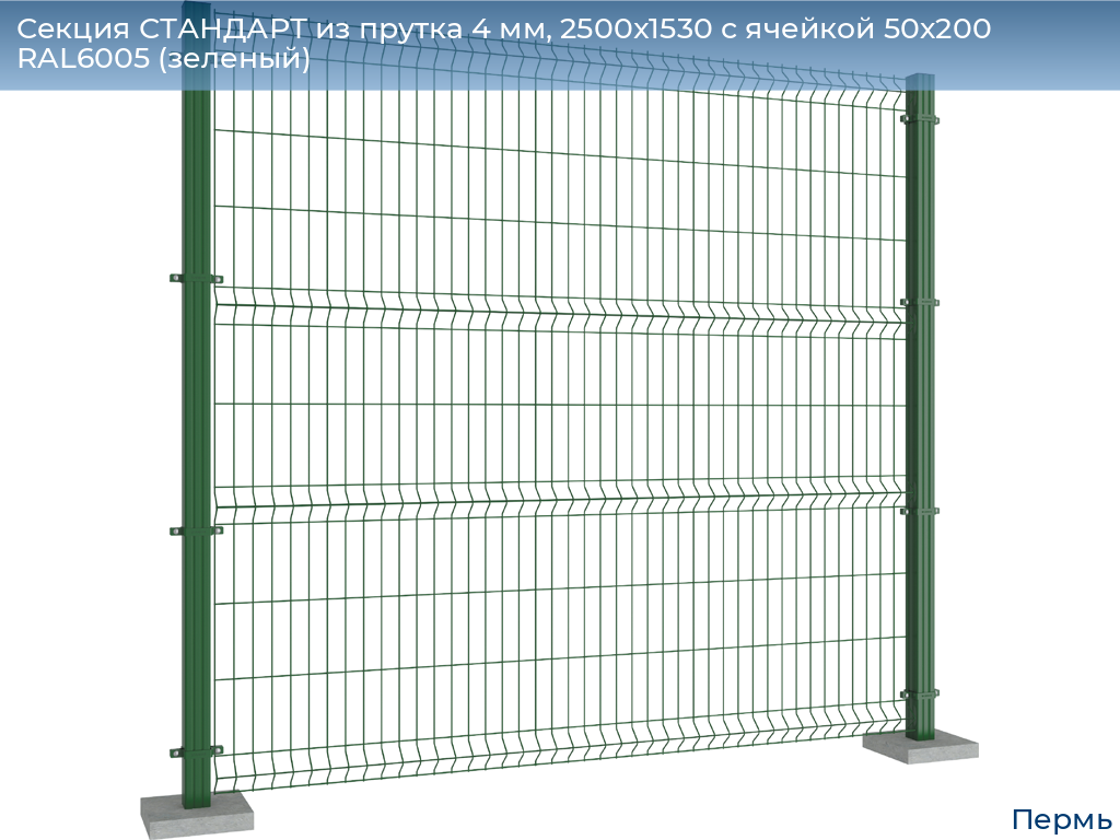 Секция СТАНДАРТ из прутка 4 мм, 2500x1530 с ячейкой 50х200 RAL6005 (зеленый), perm.doorhan.ru