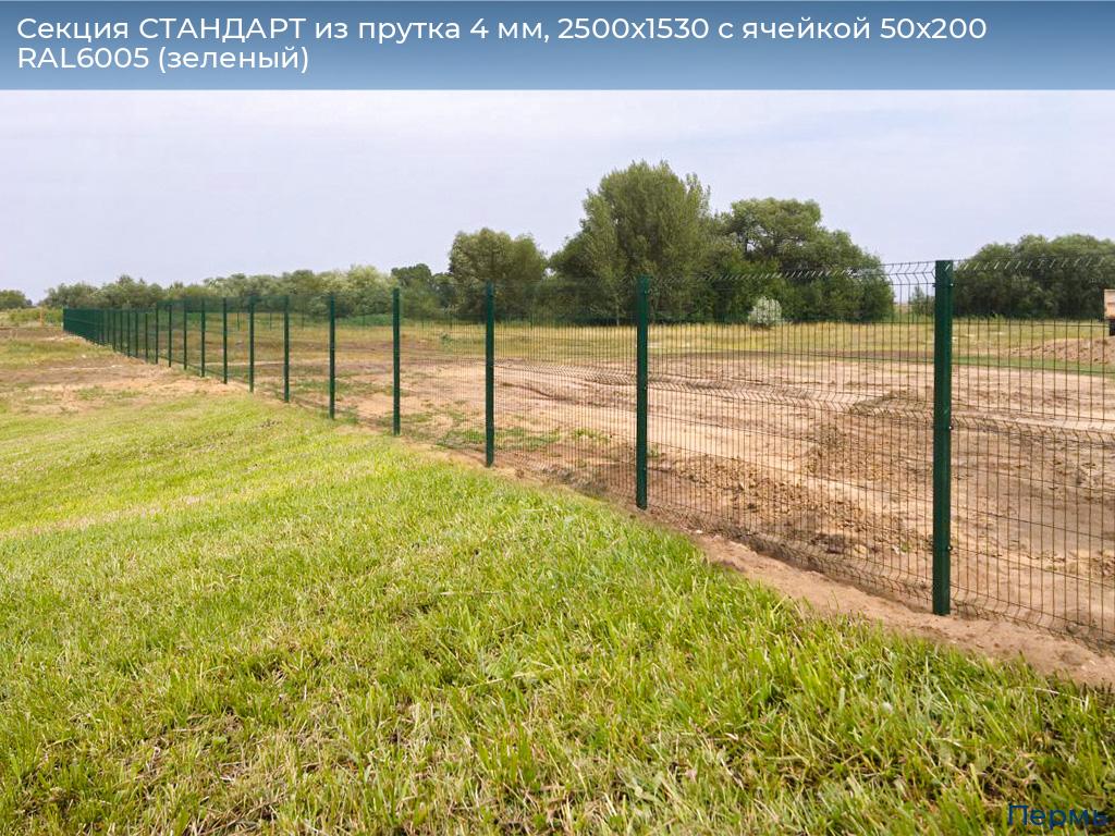 Секция СТАНДАРТ из прутка 4 мм, 2500x1530 с ячейкой 50х200 RAL6005 (зеленый), perm.doorhan.ru
