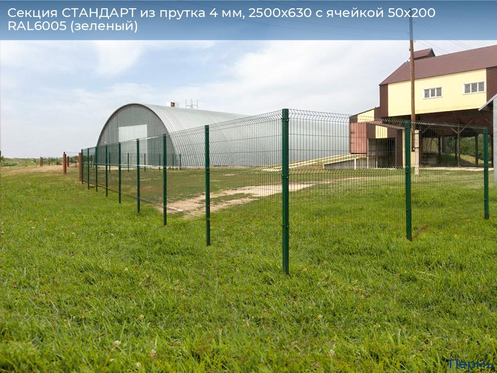 Секция СТАНДАРТ из прутка 4 мм, 2500x630 с ячейкой 50х200 RAL6005 (зеленый), perm.doorhan.ru