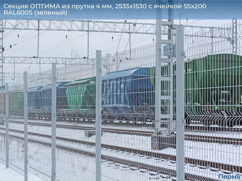 Секция ОПТИМА из прутка 4 мм, 2535x1530 с ячейкой 55х200 RAL6005 (зеленый), perm.doorhan.ru