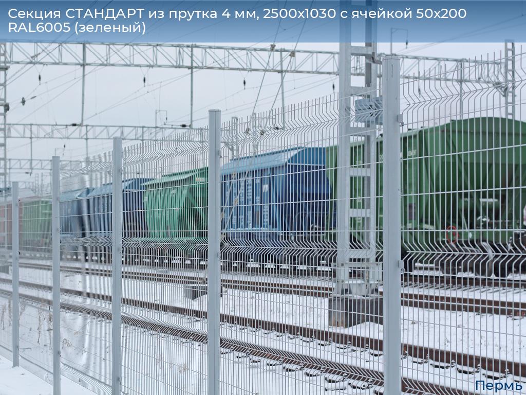 Секция СТАНДАРТ из прутка 4 мм, 2500x1030 с ячейкой 50х200 RAL6005 (зеленый), perm.doorhan.ru