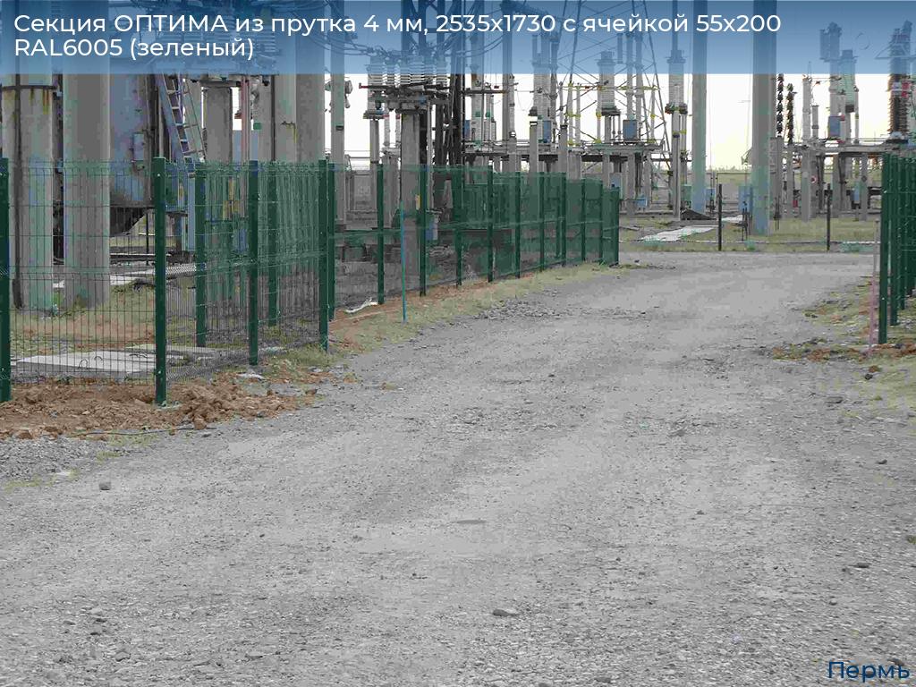 Секция ОПТИМА из прутка 4 мм, 2535x1730 с ячейкой 55х200 RAL6005 (зеленый), perm.doorhan.ru