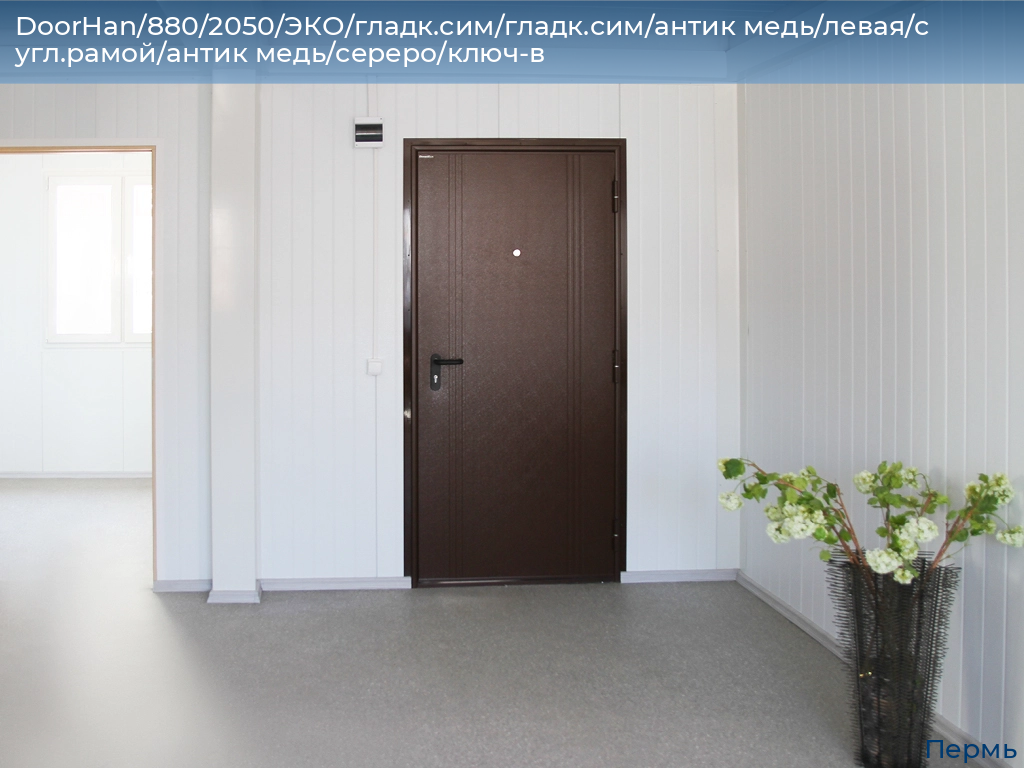 DoorHan/880/2050/ЭКО/гладк.сим/гладк.сим/антик медь/левая/с угл.рамой/антик медь/сереро/ключ-в, perm.doorhan.ru